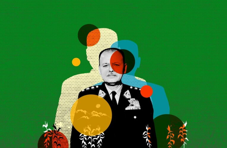 Ayudar al viejo topo