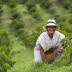 Colombia, país no cafetero