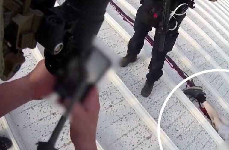 NUEVOS APUNTES DEL PUNTERO APUNTADO CON APUNTES BREVES