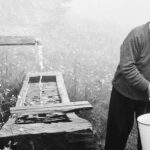 Conversación con Heidegger